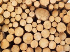 Древесина в строительстве