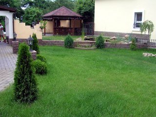 газон для дачи